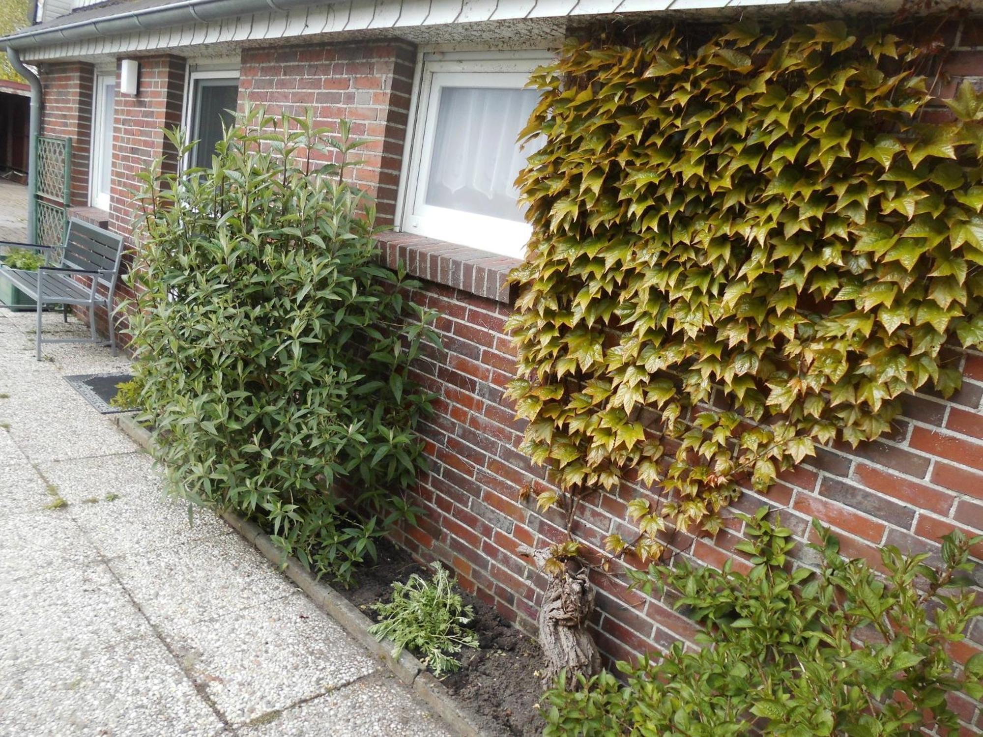 Villa Moewennest Neuharlingersiel Esterno foto